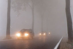 Zahl der schweren Nebelunflle deutlich rcklufig