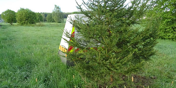 Panorama: Unbekannte pflanzen Baum vor Radarfalle