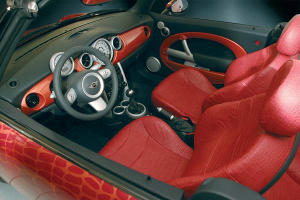 Geschmack liegt im Auge des Betrachters: Interieur des »Kroko-Mini«