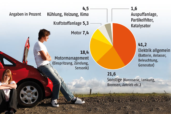 Die Grafik zeigt die hufigsten Pannenursachen