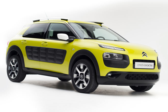 Und so sieht der C4 Cactus in einer anderen Farbkombination aus