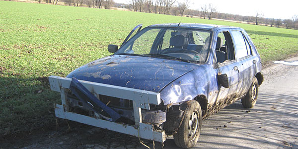 Panorama: Selbsternannter Rallyefahrer auf Abwegen