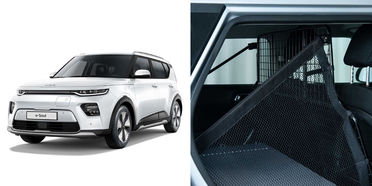 Kia e-Soul mit Cargo-Paket: Fast ein Kleintransporter