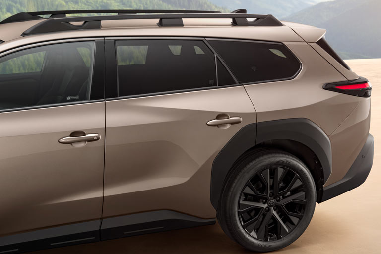 Die neue Heckpartie im Detail. Die Dachreling ist arg wuchtig geraten. Schön, dass Toyota noch Bügeltürgriffe nutzt